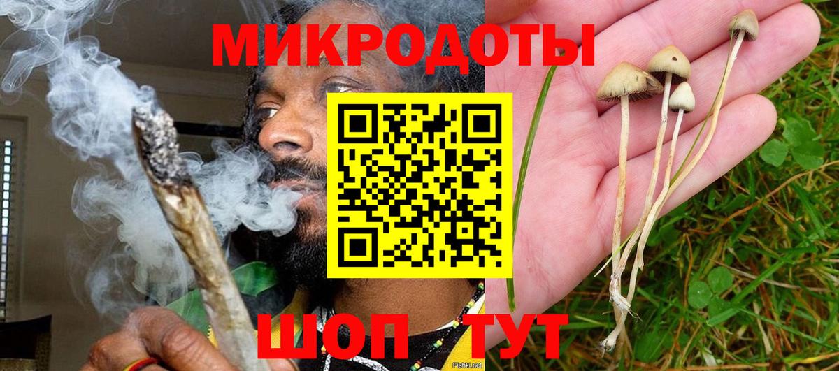 Псилоцибиновые грибы ЛСД  Вход с VPN  Сунжа 