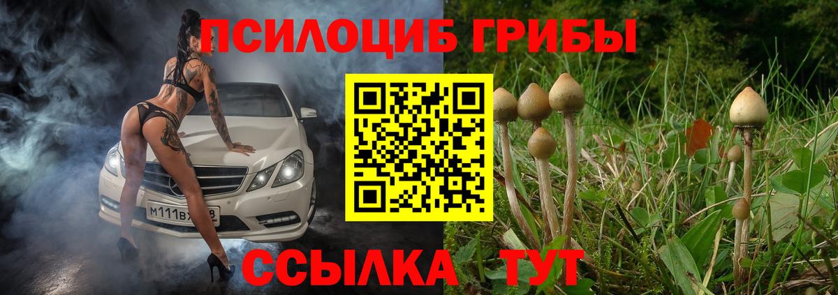 Псилоцибиновые грибы мухоморы Сунжа