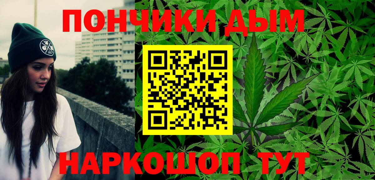 Марихуана конопля  Марихуана сатива  Канабис планчик  Вход с VPN  Каннабис Amnesia  Сунжа 